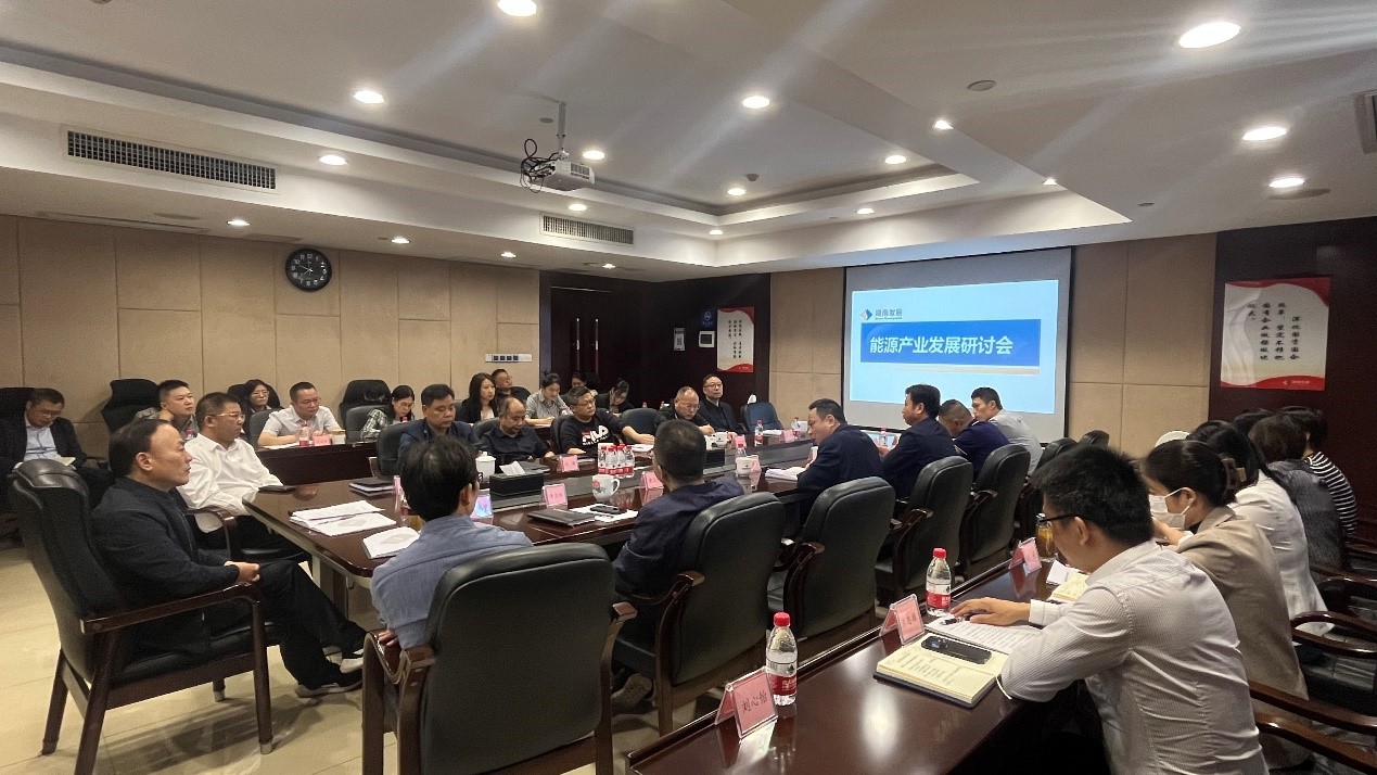 线上买球官网（中国）官方网站召开能源产业发展研讨会